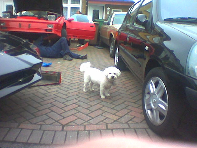 007Image(67) He's the supervisor - oh no wait, I'm the supervisor. He must be the Dog's body! - 1st May 2004