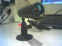 33Image(125)