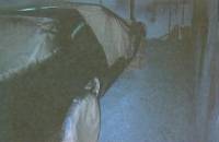 55bodyshop_(16) 